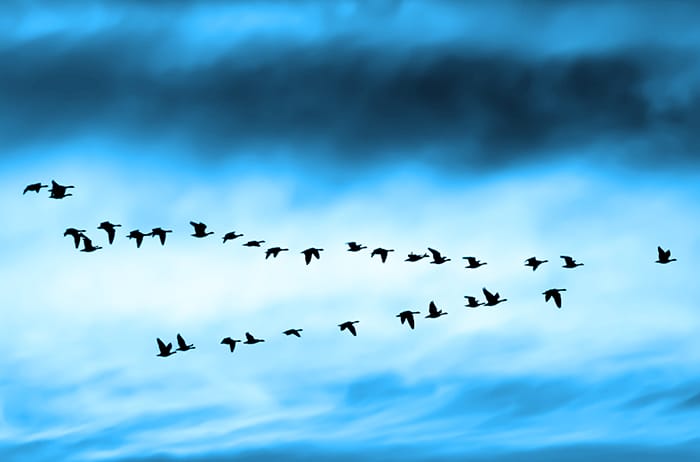 Building A Cloud Migration Strategy