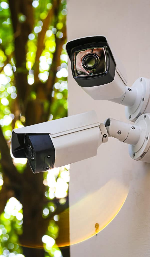 Two outdoor surveillance cameras